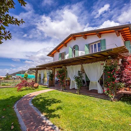 Villa Clara Few Km From The Sea - Happy Rentals 彼得拉桑塔 外观 照片